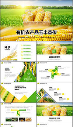丰收玉米地专题模板-丰收玉米地