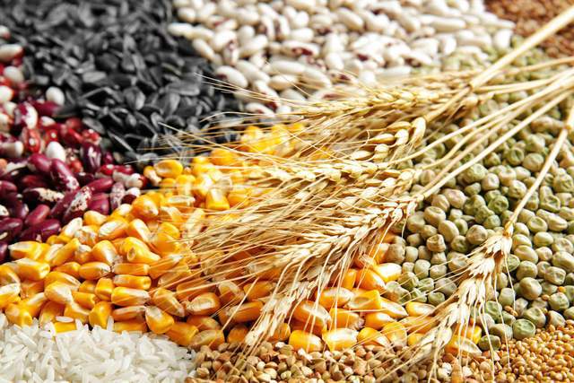 农产品:美国粮食出口检查增加