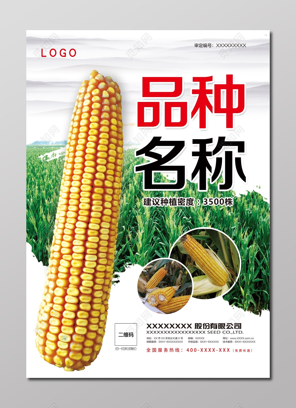 种植玉米种子品种粮食农产品海报